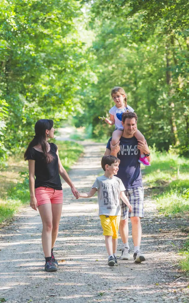 Visitez les étangs de La Dombes en famille - Office de tourisme Bourg-en-Bresse destinations