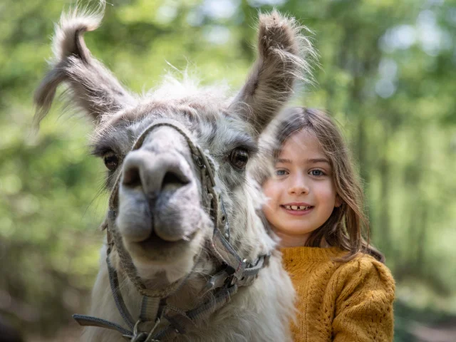 Lama et enfant