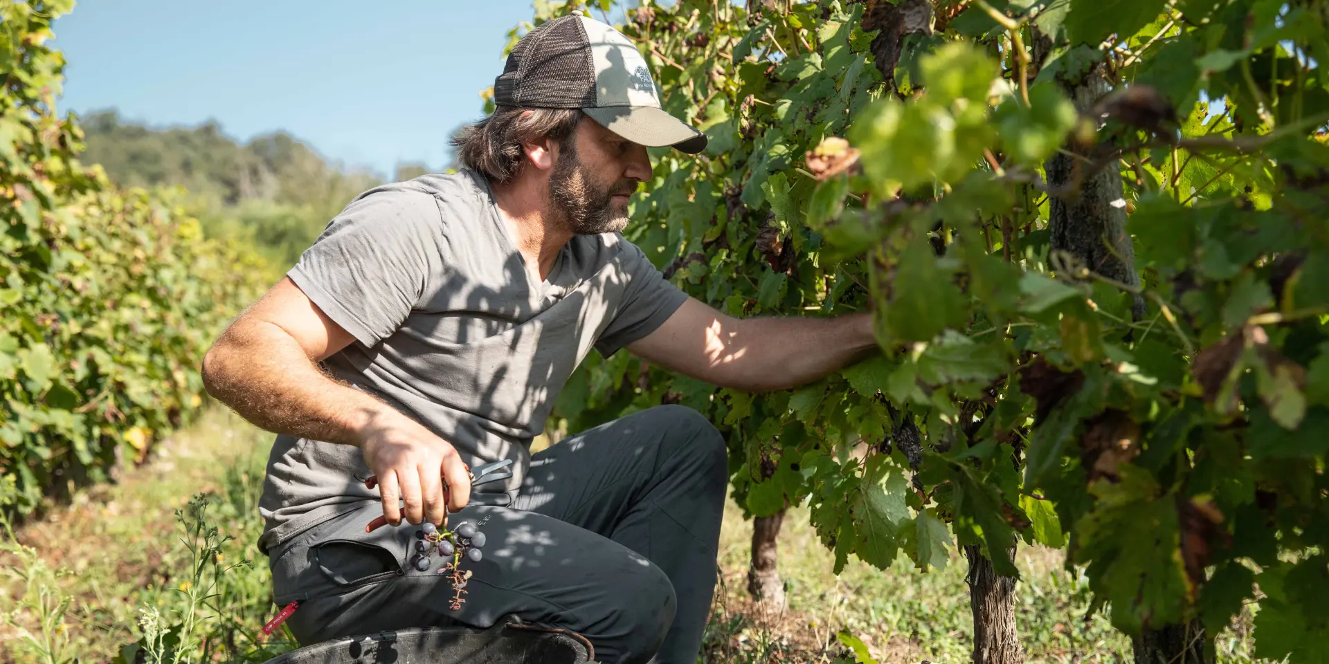 Aurélien Beyeklian est vigneron dans le vignoble du Revermont. Découvrez son quotidien dans un portrait par l'Office de Tourisme