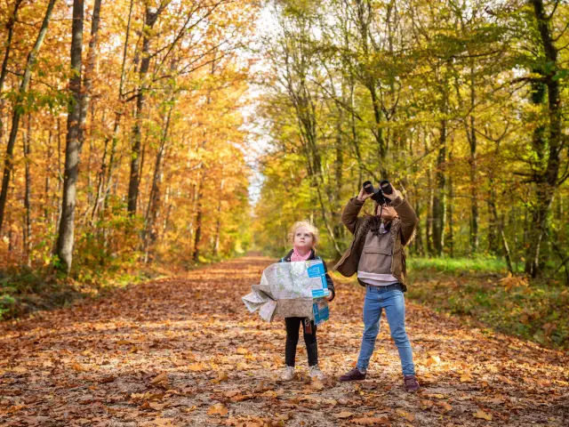 Bbd Seillon Automne 057©morganemonneret