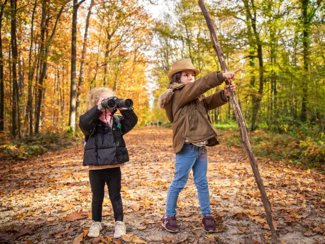 Bbd Seillon Automne 065©morganemonneret