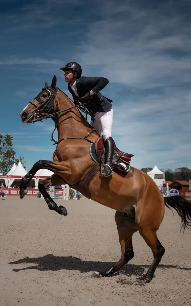 Bourg En Bresse Destination Jumping International©morganemonneret (20)