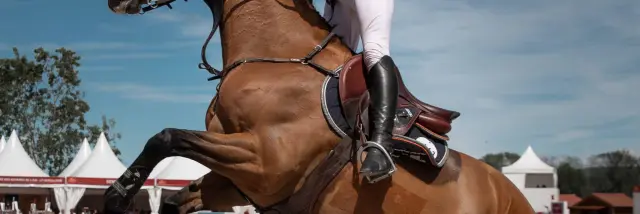 Bourg En Bresse Destination Jumping International©morganemonneret (20)