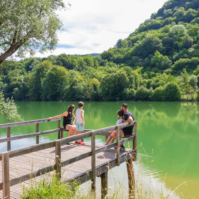 Bords Rivière D'ain(5)©pierre Jayet