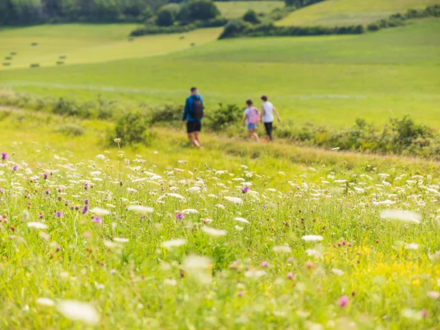 Randonnée Plateau D’arnans(5)©pierre Jayet