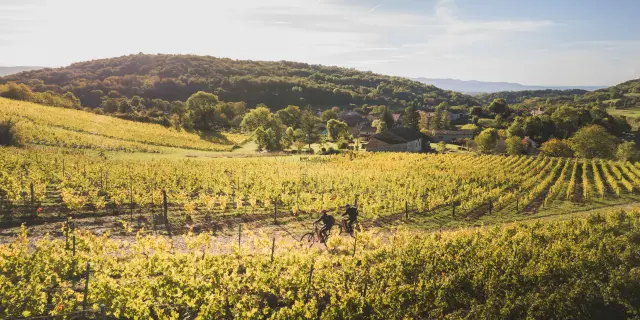 Week End Bourg En Bresse Revermontmizenboite Bourg En Bresse Destinations 40