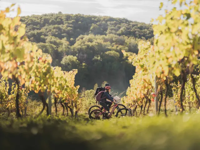 Week End Bourg Et Revermontmizenboite–montagnes Du Jura 11