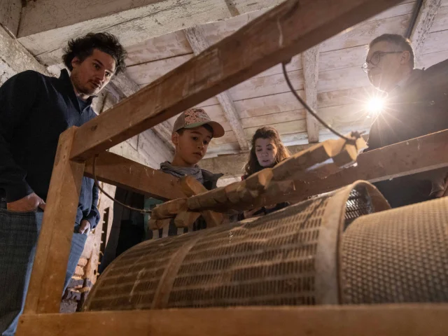 Ferme De La Foret en famille Courtes