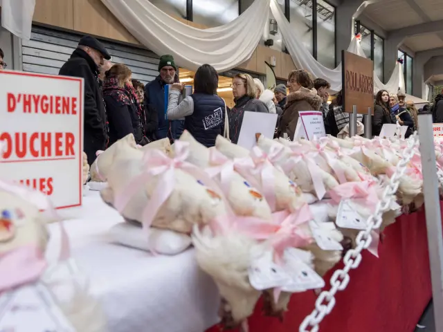 Glorieuses De Bresse Bourg En Bresse 2024