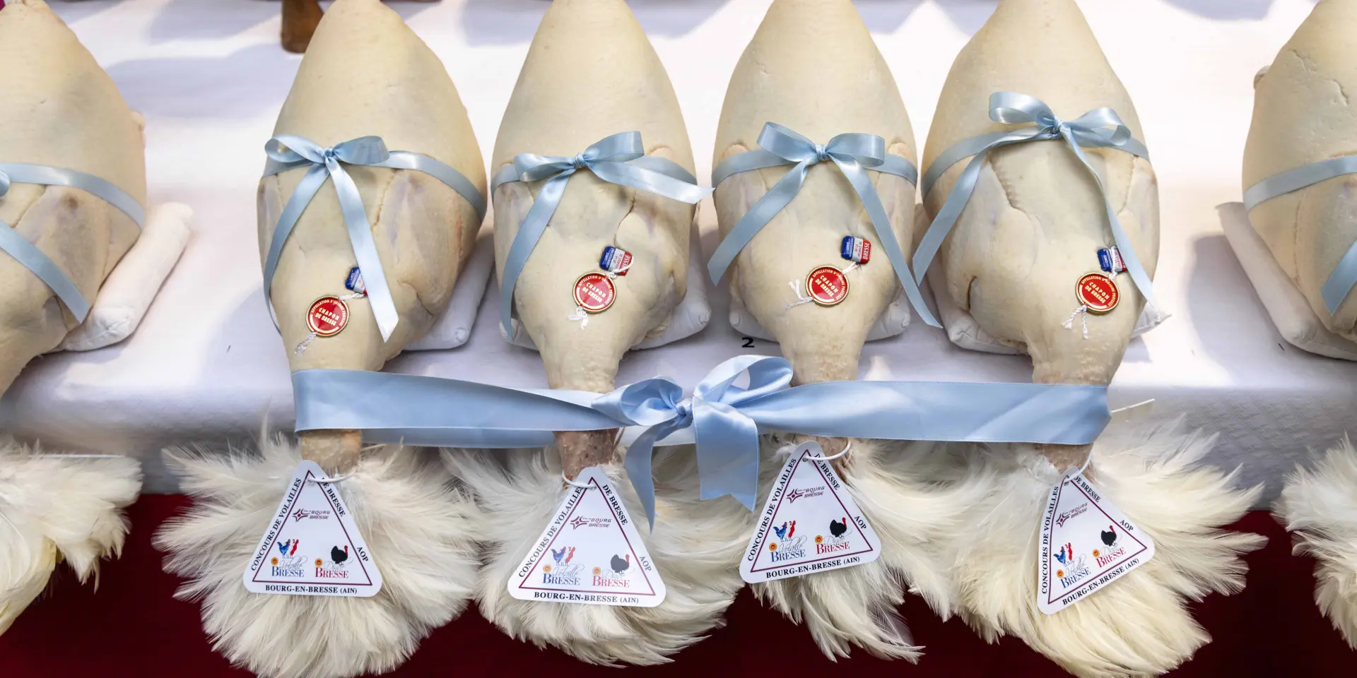 Glorieuses De Bresse Bourg En Bresse