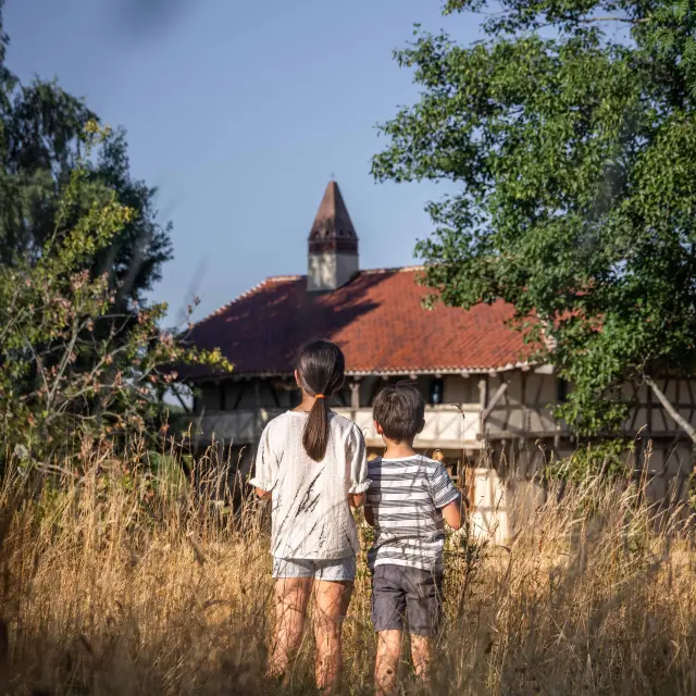 Ferme de la Forêt été 2025