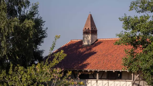 Ferme de la Forêt à Courtes - Ete