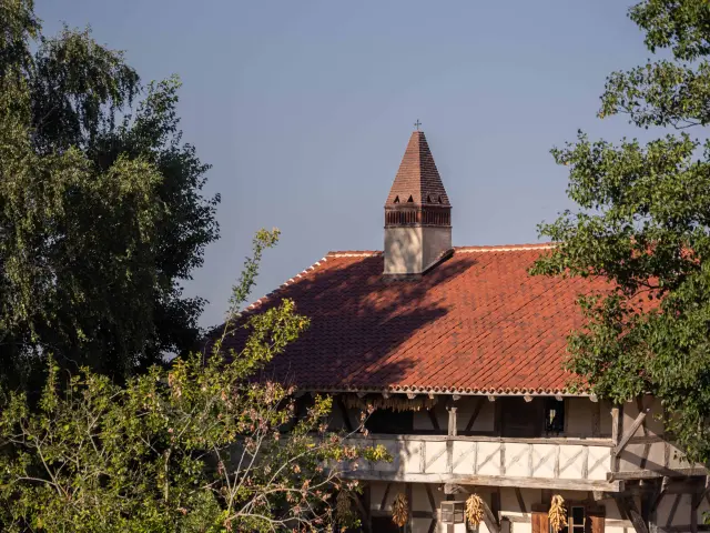 Ferme de la Forêt à Courtes - Ete