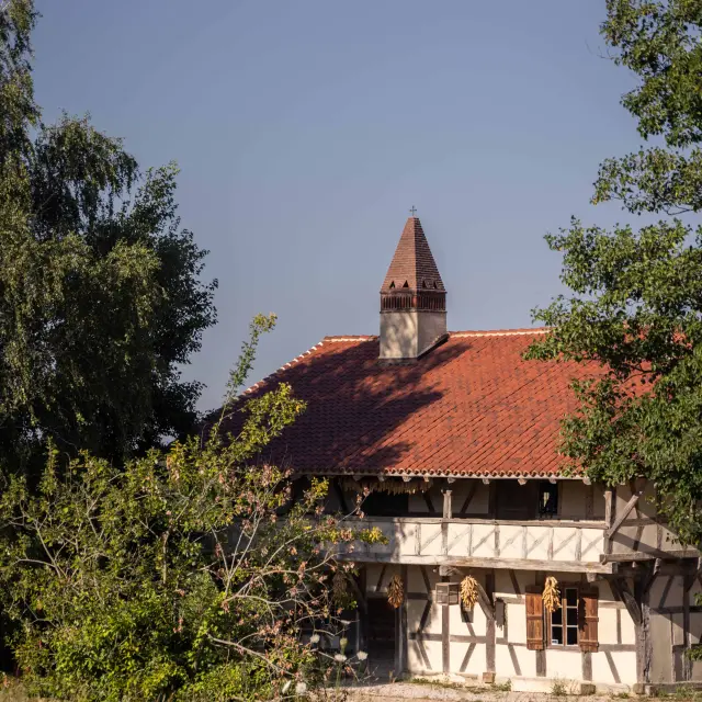 Ferme de la Forêt à Courtes - Ete