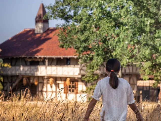 Ferme de la Forêt été 2025