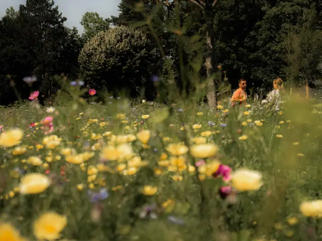Parc de la Madeleine à Bourg-en-Bresse