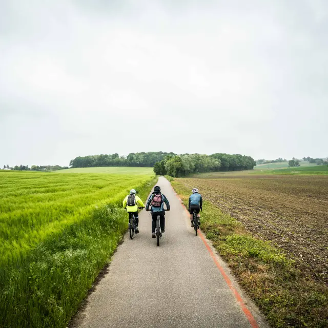 VTT en Bresse sur la piste cyclable La Traverse
