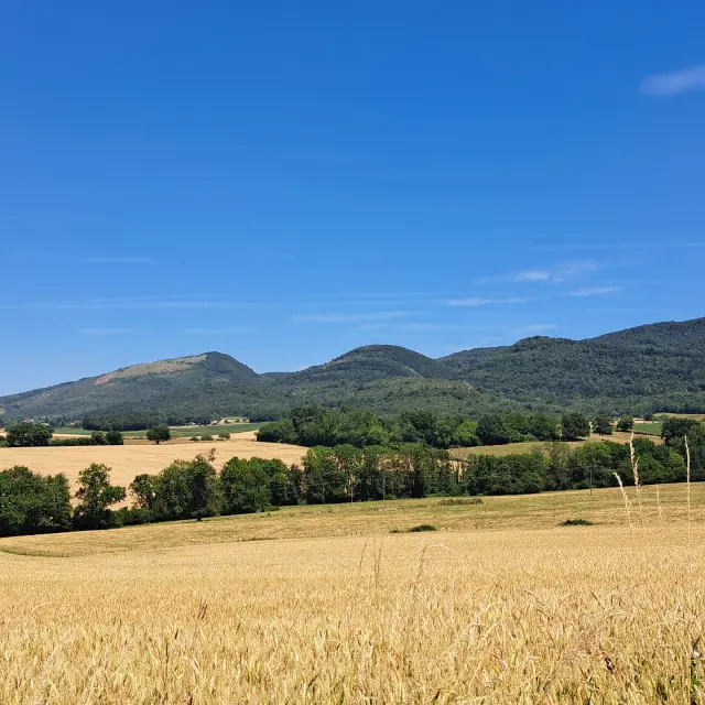 Instagram #bourgenbressedestinations